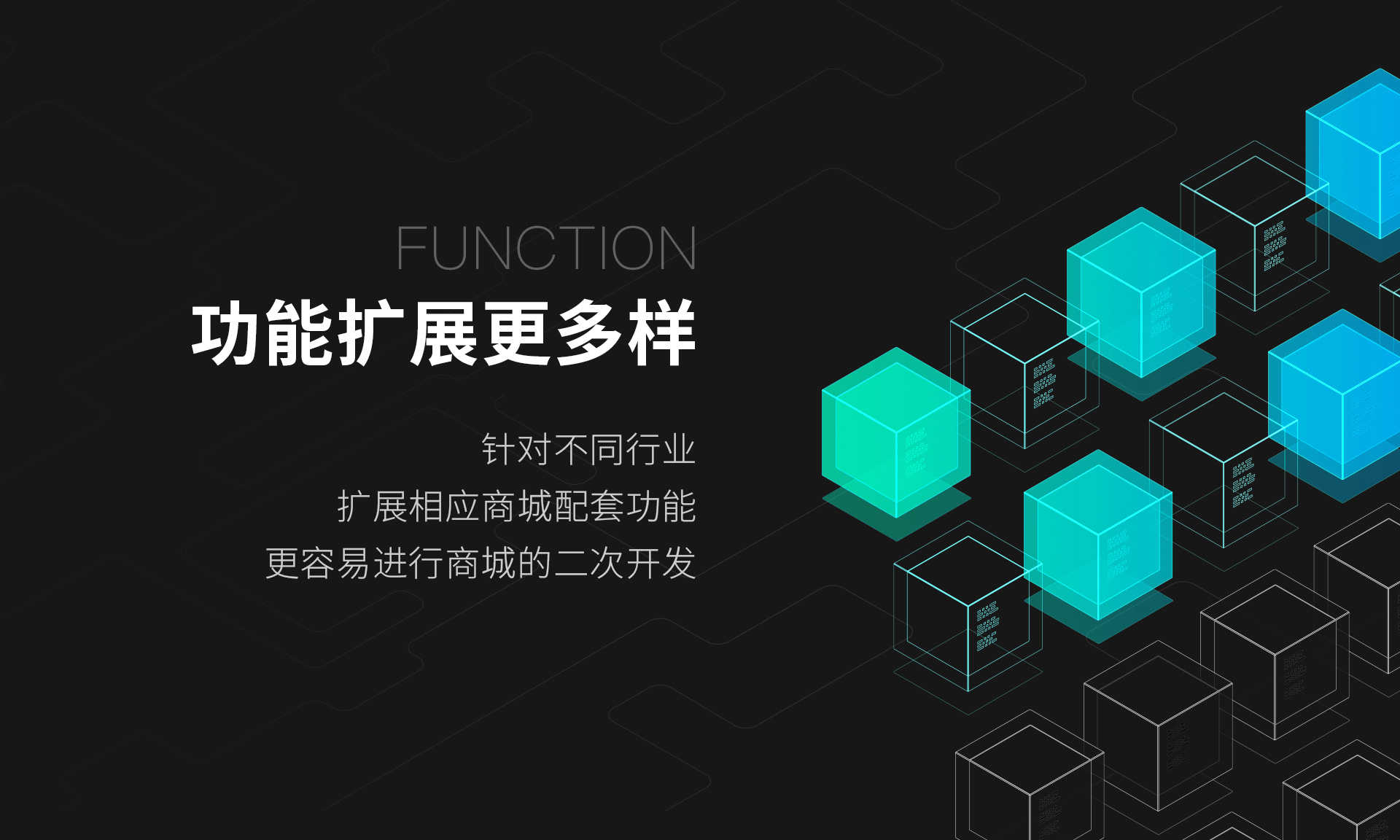 功能扩展更多样